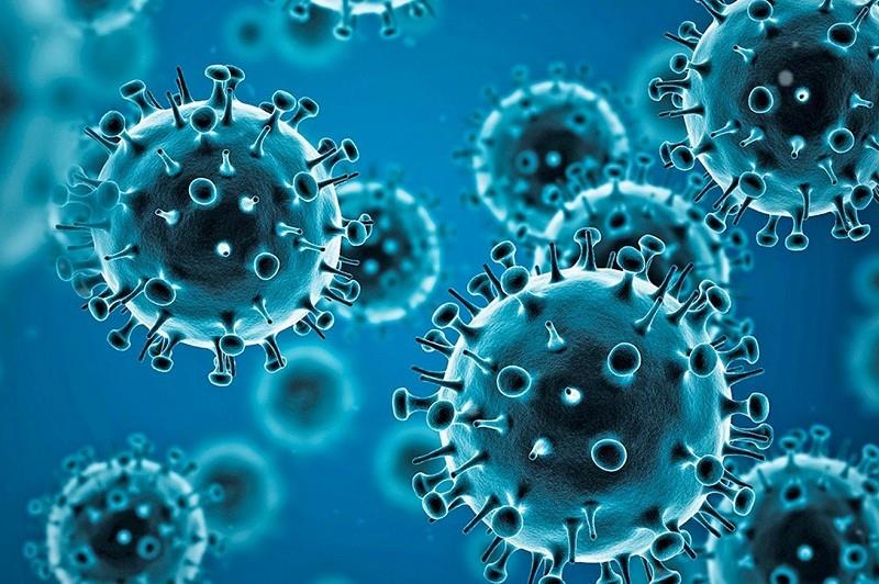 Coronavirus Pandemi
